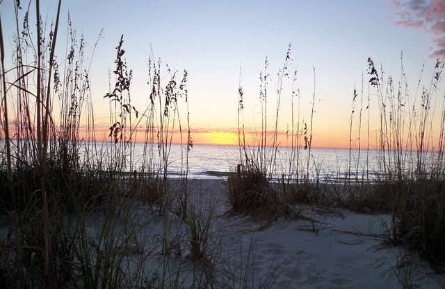 'Incommunicado ' ~A~ Hammock, Cool Drink, Whispering Pines.