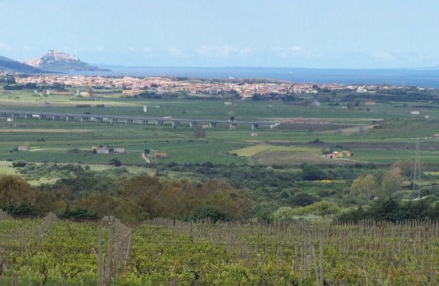Independent cottage in the magical atmosphere of the Gallura countryside