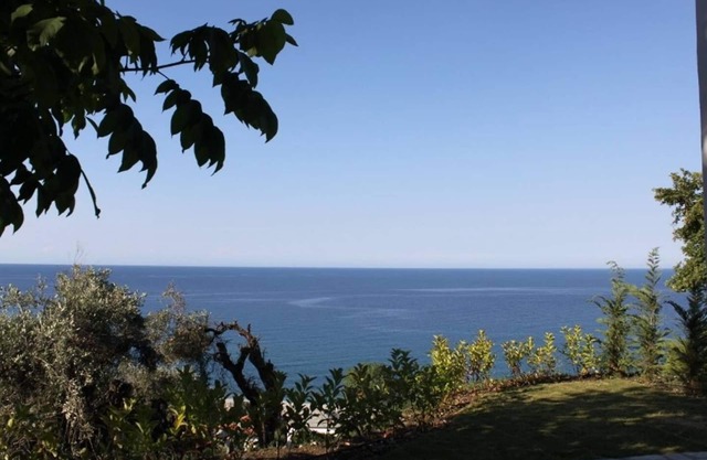 Isabel Artemis Chorefto - Selene