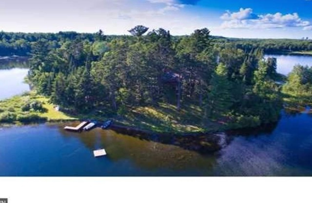 Island Getaway Northern MN Towering Pine Forest