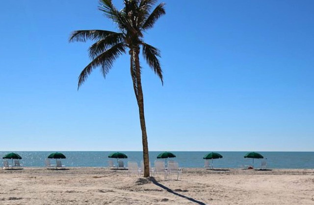Island Inn