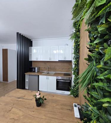 Ivory Green Studio - Free Parking