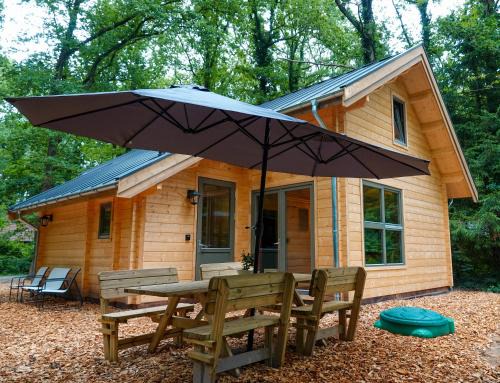 Jesse's Log Cabin