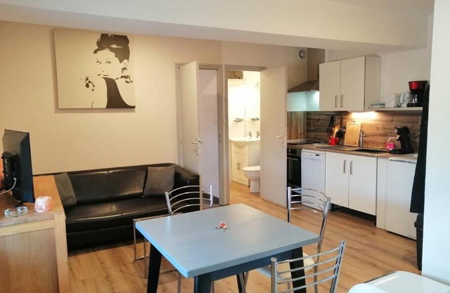 Joyeuse, superbe appartement d'environs 30m2.