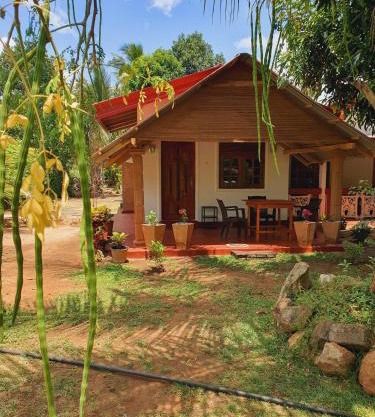 Jungle Eco Lodge & Safari
