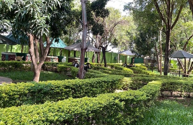 Jungle Green Resort - Kiutine