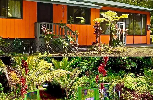 Jungle Home/AC/NearHot Ponds Fissure 8/Hot Tub