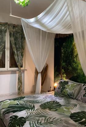Jungle - house of wellness