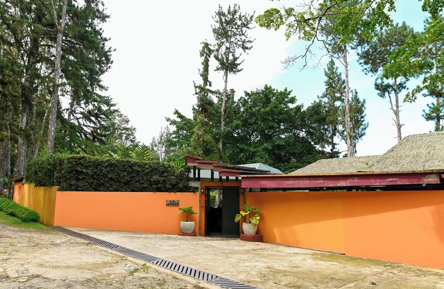 Jungle Mansion - 7 Bedrooms with Gardens, Pool, Jacuzzi, & More