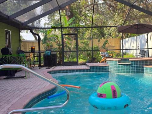 Jungle Oasis By Busch Gardens USF and Amphitheater