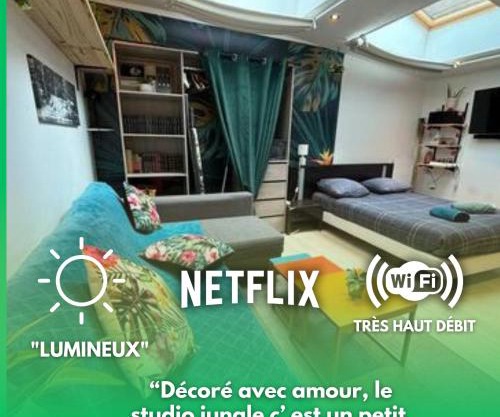 Jungle Studio - 2P à 4P -Henriville