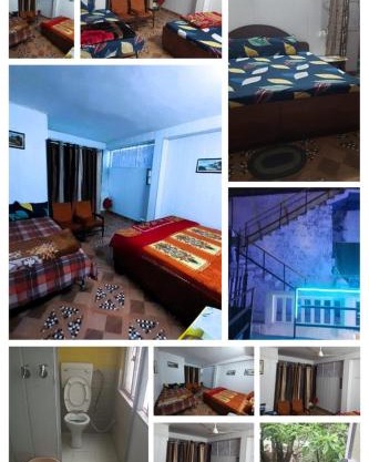 Jungle Zostel Homestay