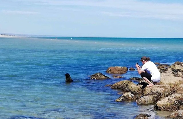 Kangaroo Island in Style: Free WiFi, Beach Access, Wildlife, and Fishing!