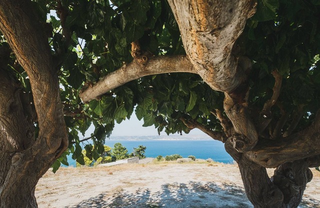 Karavos View - A unique artists' hideaway Paradise