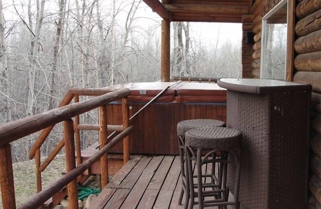 Kelly's Rock Creek Cabin. Kids and dogs welcome!