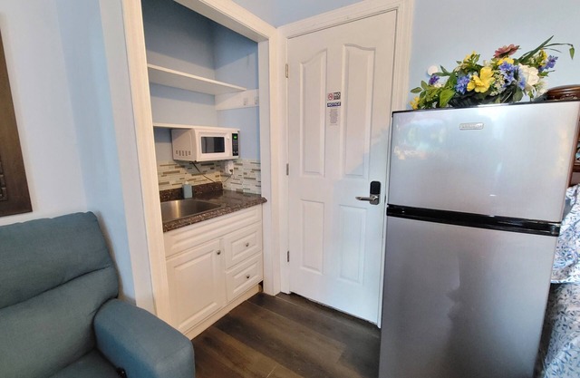 King Sapphire Studio Suite, Kitchenette, 65" TV Private Bathroom Pets Welcome