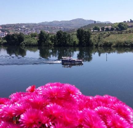 Kintal do Douro