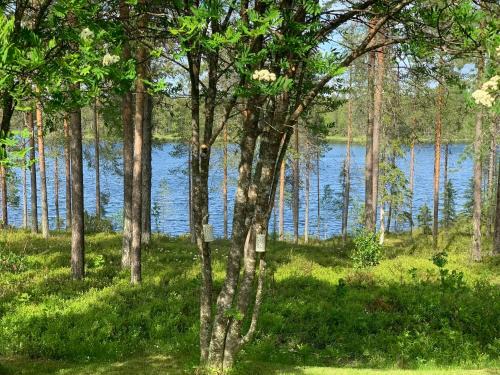 Kitka riverview retreat with sauna
