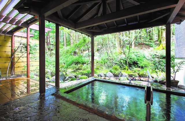 Komagane Kogen Resort Linx