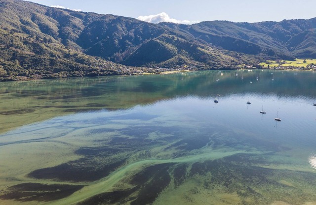 Koraha - Queen Charlotte Sound Holiday Home