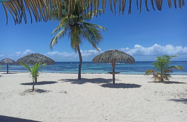 Kukumi's Suite Anse des Rochers