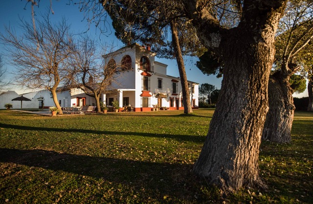 Kukutana: Tailored Escapade & Full-Service Experience. Seville & Doñana Your Way