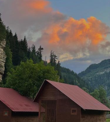 Kvela Cottage - ყველა კოტეჯი