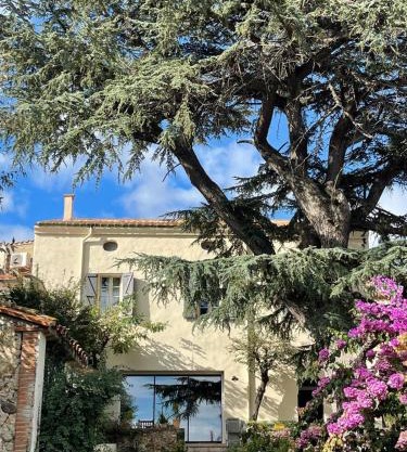 La Bastide du Cèdre - 20 minutes from Collioure