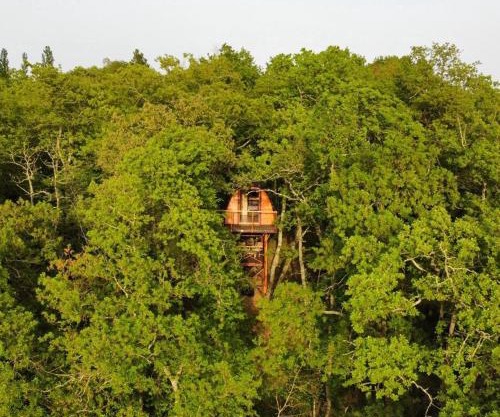 La cabane entre les cimes