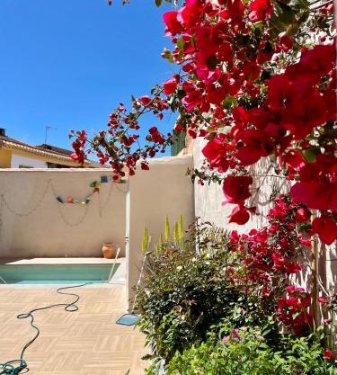 La Casa De Los Gatetes