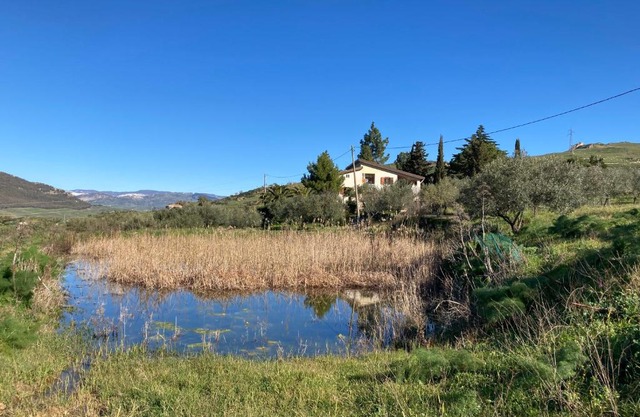 La Casa Delle Olive
