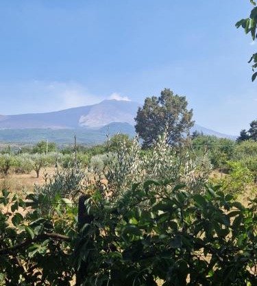 La casa di Giulia