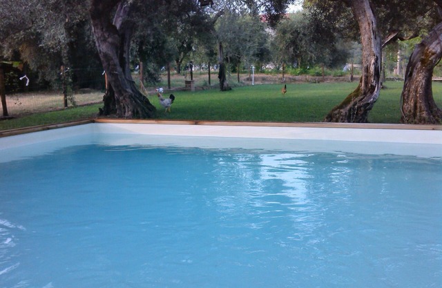 La Collina degli Ulivi (Touristic Rentals) Passiflora