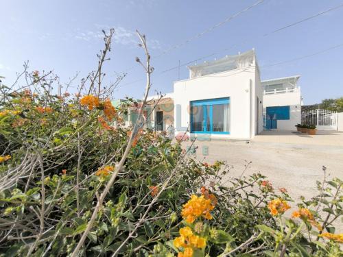 La Corte sul Mare Puglia On line