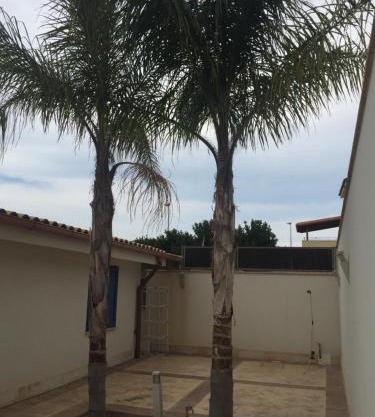 La Finestra Su Vigata