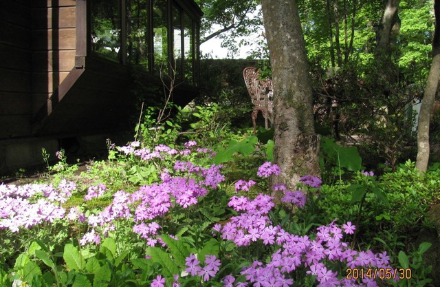 La Forest De Nome Karuizawa