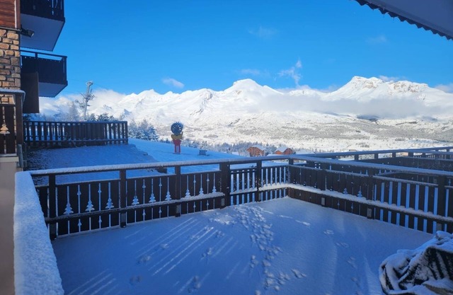La Joue du Loup- Apt 4/6 pers -Terrace with ski slope access- Eden des Cimes