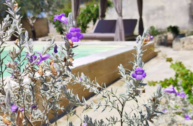 La pajera masseria Asteri deluxe suite