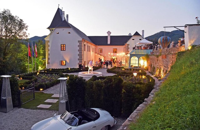 La Petite Ivy