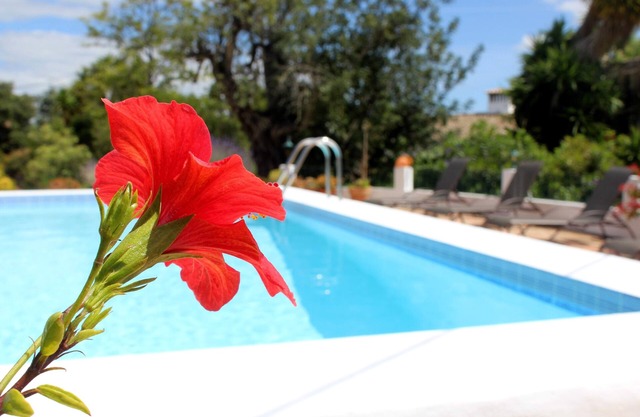 La Quinta: Private property with swimming pool