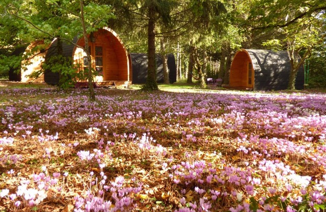 La Rossignolerie - POD Cabanes des châteaux