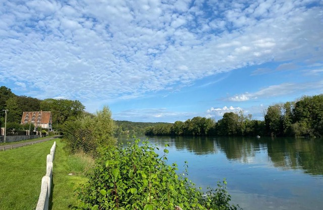 La Seine, entre rivière et forêt de Fontainebleau