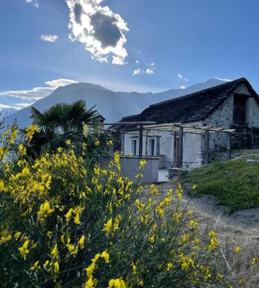 La Terrazza di Rivoria