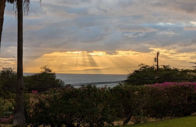 Labor Day Sale-Stunning ocean sunsets,@Wailea Beaches,Green, and Foodie Kitchen!