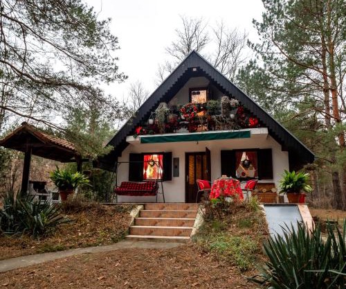 Ladybird Lodge