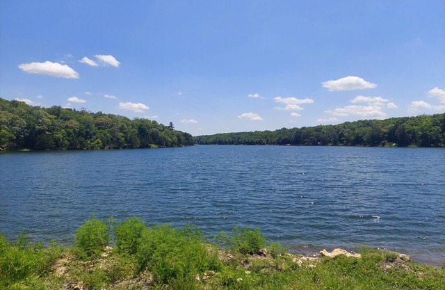 Lake Chaparral Campsite