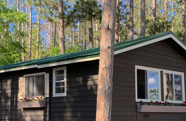 Lake front cottage - 2024 Specials Now! Beach and spectacular views!