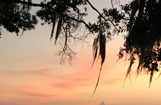LAKE FRONT HIDEAWAY 2mi from I-4 Between TAMPA and ORLANDO