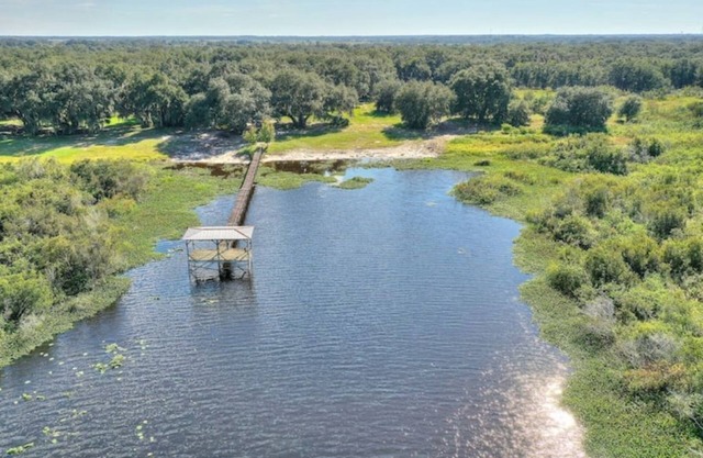 Lake Kissimmee Lakefront in 4500 acre State Forest