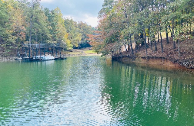 Lake Lanier RETREAT w Beach!Dock!Arcades!Kayaks!Paddle Boards!Fire-pit!